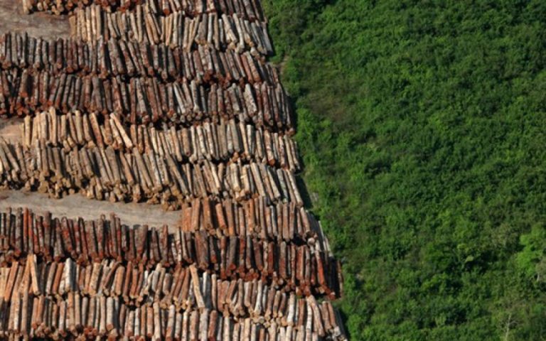 A fiscalização ambiental corre grave perigo