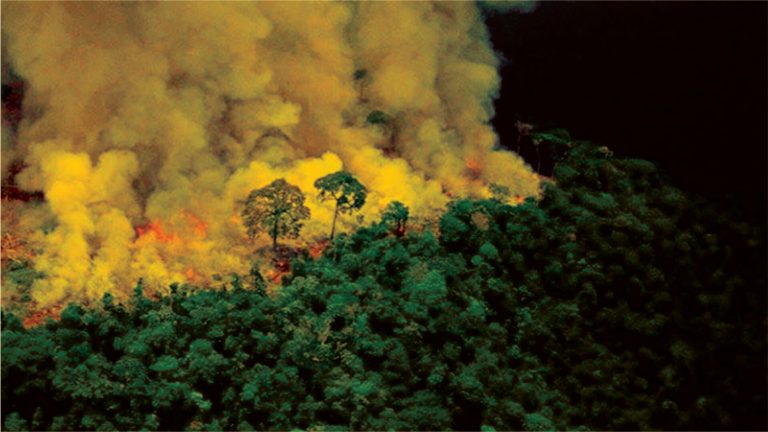 Estudantes lançam manifesto em defesa da Amazônia