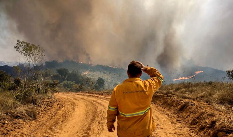Sâmia pede informações ao Governo de São Paulo sobre incêndio no Parque Estadual Juquery