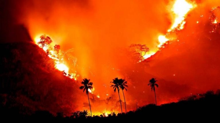 Sâmia cobra ministro do Meio Ambiente sobre atuação do órgão no combate de queimadas em território nacional