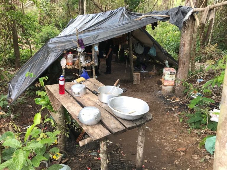 Deputadas do PSOL destinam 20 milhões de reais para fiscalização e inspeção no combate do trabalho escravo e infantil no Brasil