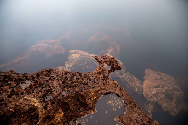Sâmia e PSOL cobram ministério sobre exploração ilegal de nióbio na Amazônia