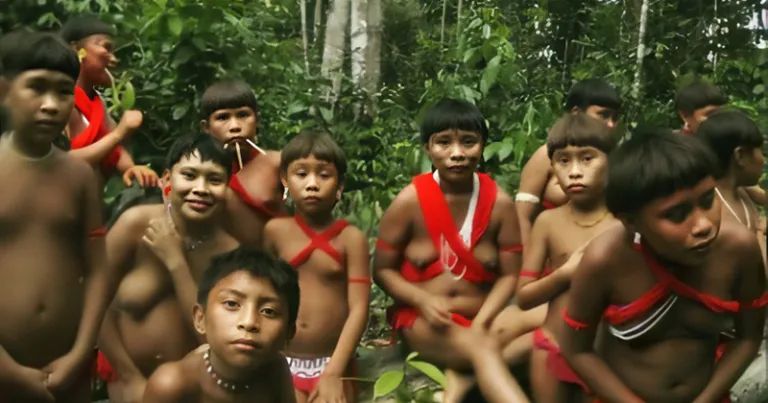 Sâmia exige proteção de Yanomamis após apontamento que garimpeiros exigem sexo com adolescentes em troca de comida