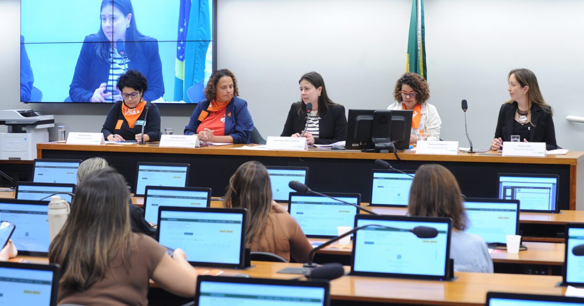 Audiência promovida por Sâmia defende a inserção de doulas na Rede Alyne do Ministério da Saúde