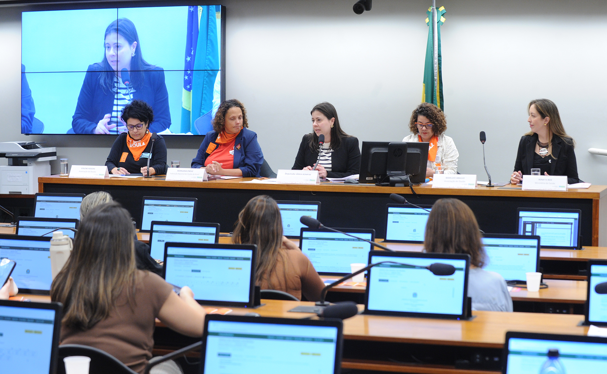 Audiência promovida por Sâmia defende a inserção de doulas na Rede Alyne do Ministério da Saúde