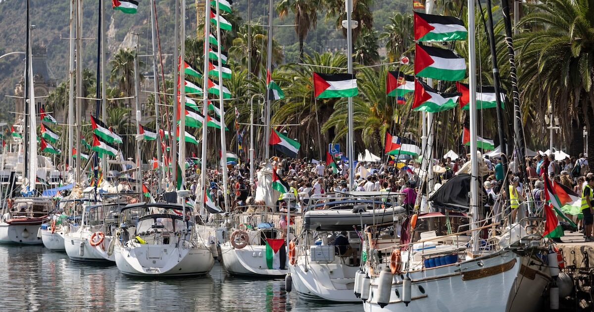 Parlamentares pedem ação urgente do governo para salvar brasileiros em flotilha rumo a Gaza