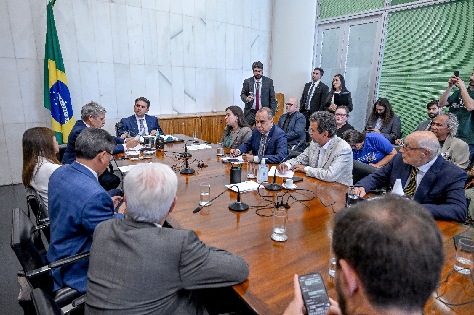 Sâmia cobra avanço da regulamentação da cannabis medicinal em reunião com Hugo Motta