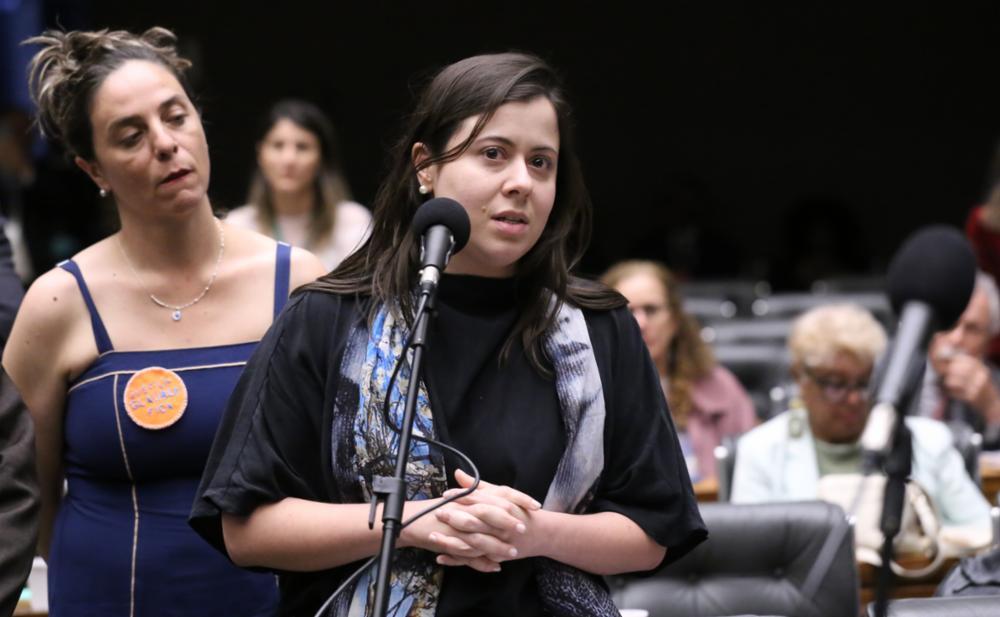 Sâmia Bomfim quer impedir acesso a armas por acusados em cumprimento de medida protetiva