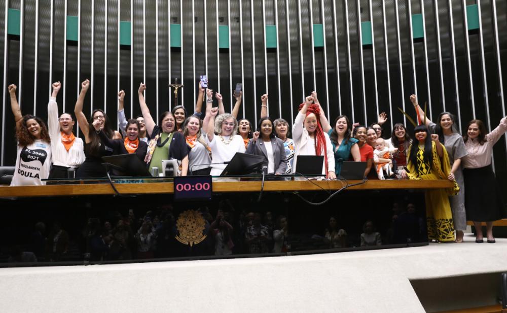 Com relatoria de Sâmia, Câmara aprova regulamentação da profissão de doula